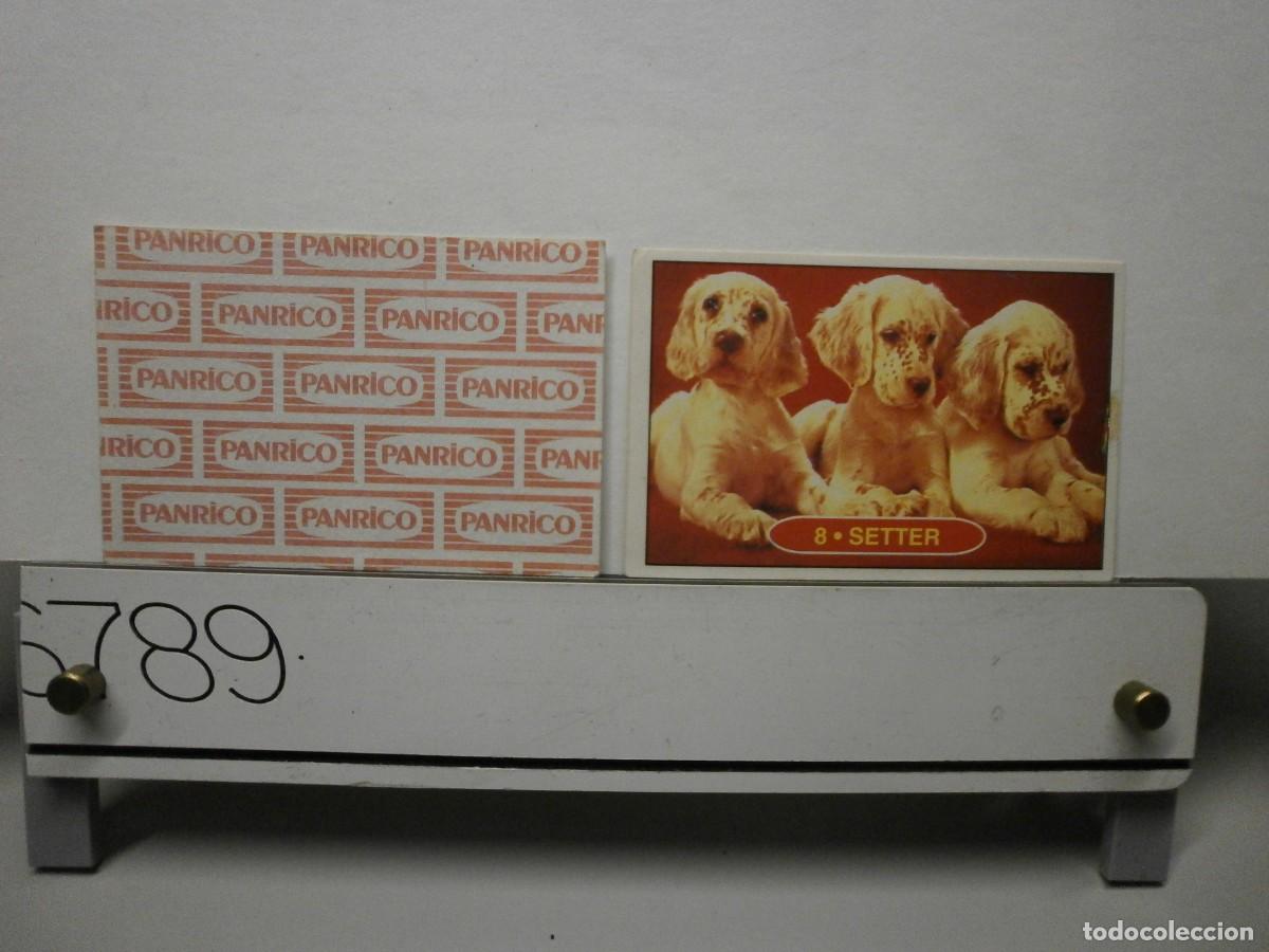 Coleccionismo cromos antiguos: cromo panrico perros cachorros