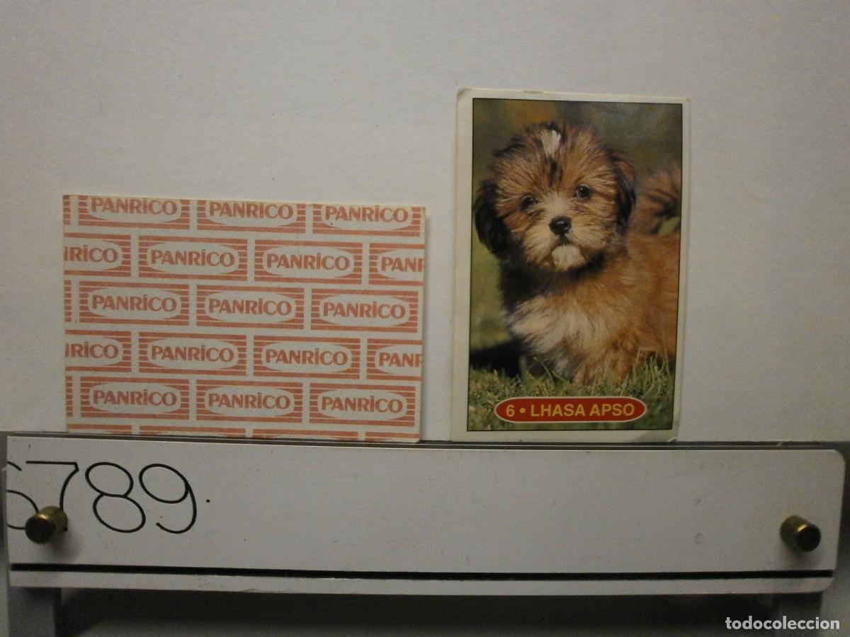 Coleccionismo cromos antiguos: cromo panrico perros cachorros