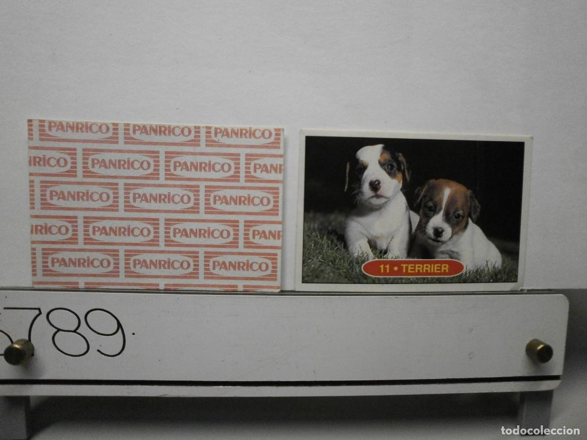 Coleccionismo cromos antiguos: cromo panrico perros cachorros