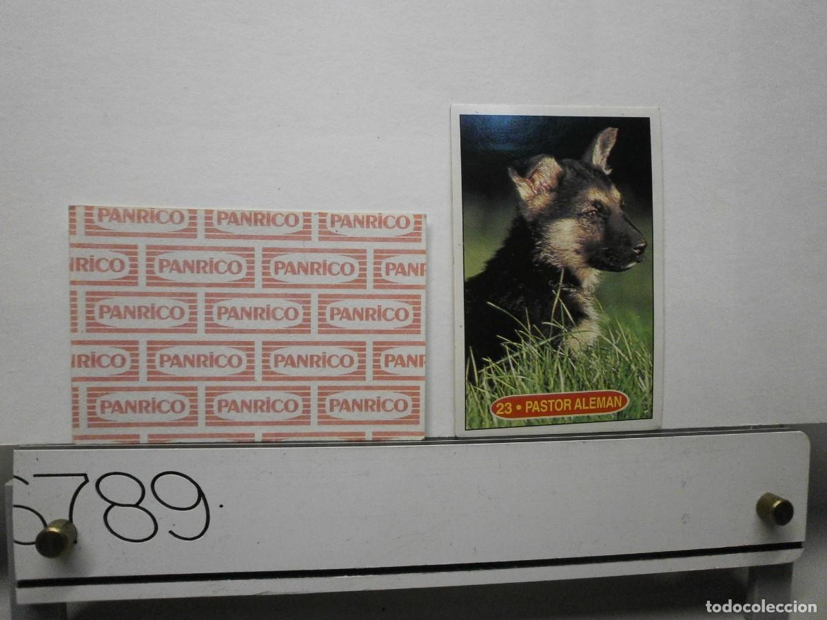 Coleccionismo cromos antiguos: cromo panrico perros cachorros