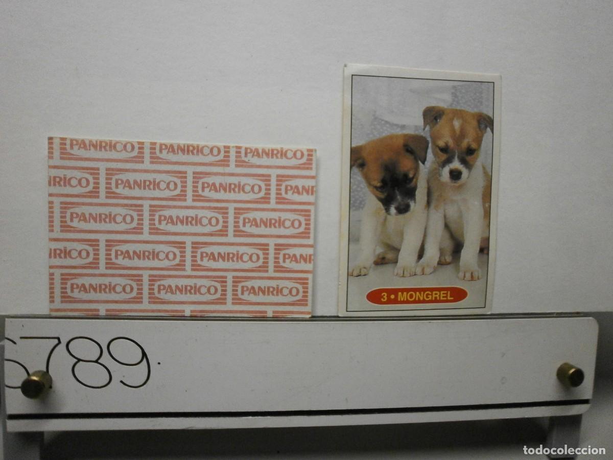 Coleccionismo cromos antiguos: cromo panrico perros cachorros