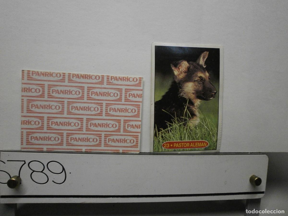 Coleccionismo cromos antiguos: cromo panrico perros cachorros