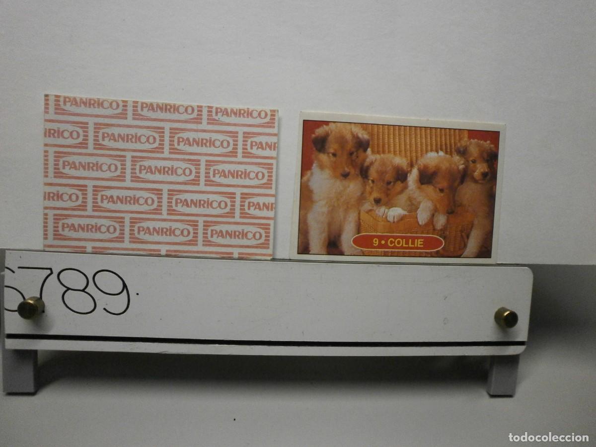 Coleccionismo cromos antiguos: cromo panrico perros cachorros