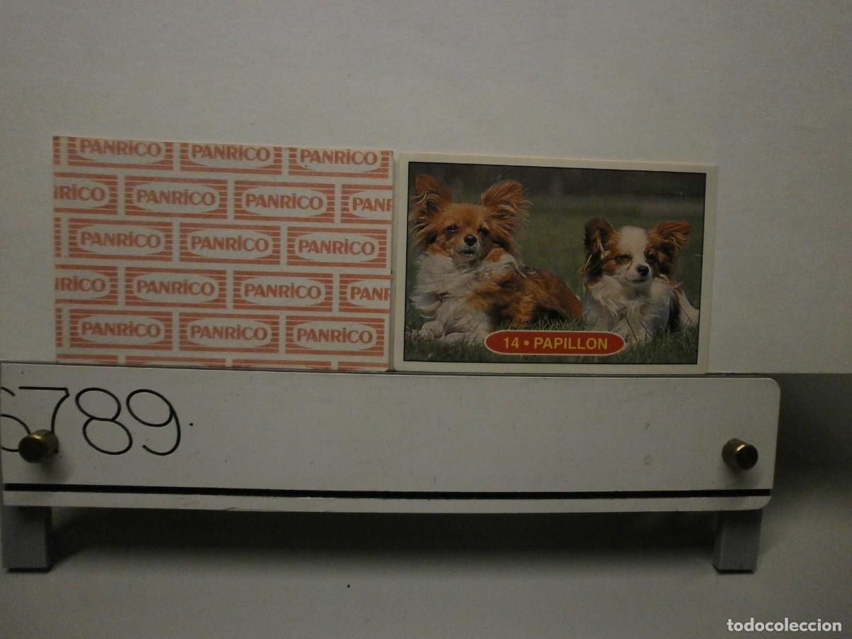 Coleccionismo cromos antiguos: cromo panrico perros cachorros