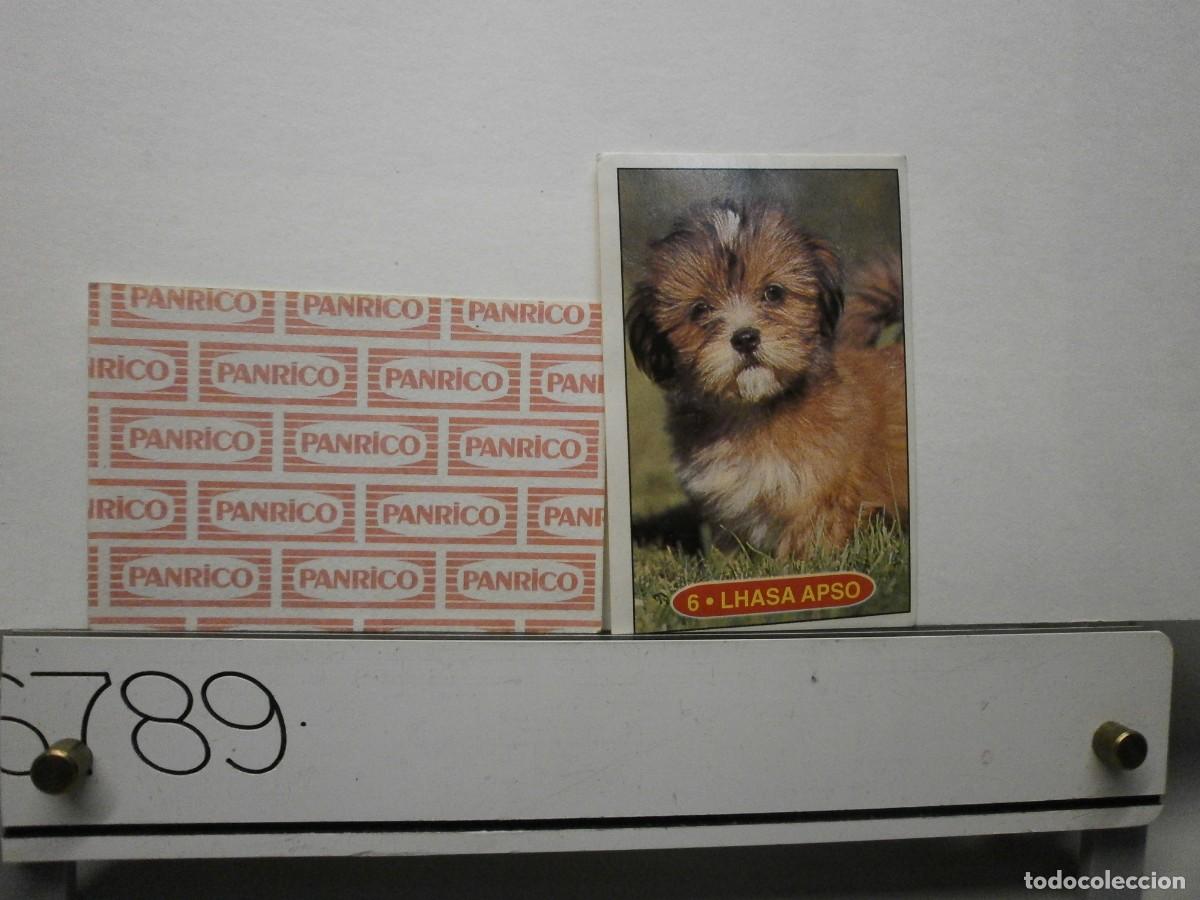 Coleccionismo cromos antiguos: cromo panrico perros cachorros
