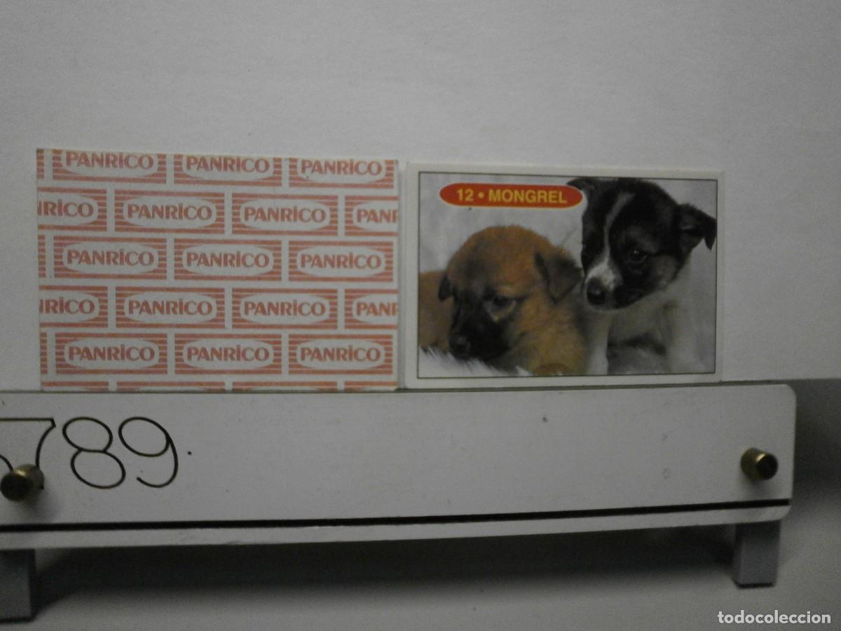 Coleccionismo cromos antiguos: cromo panrico perros cachorros