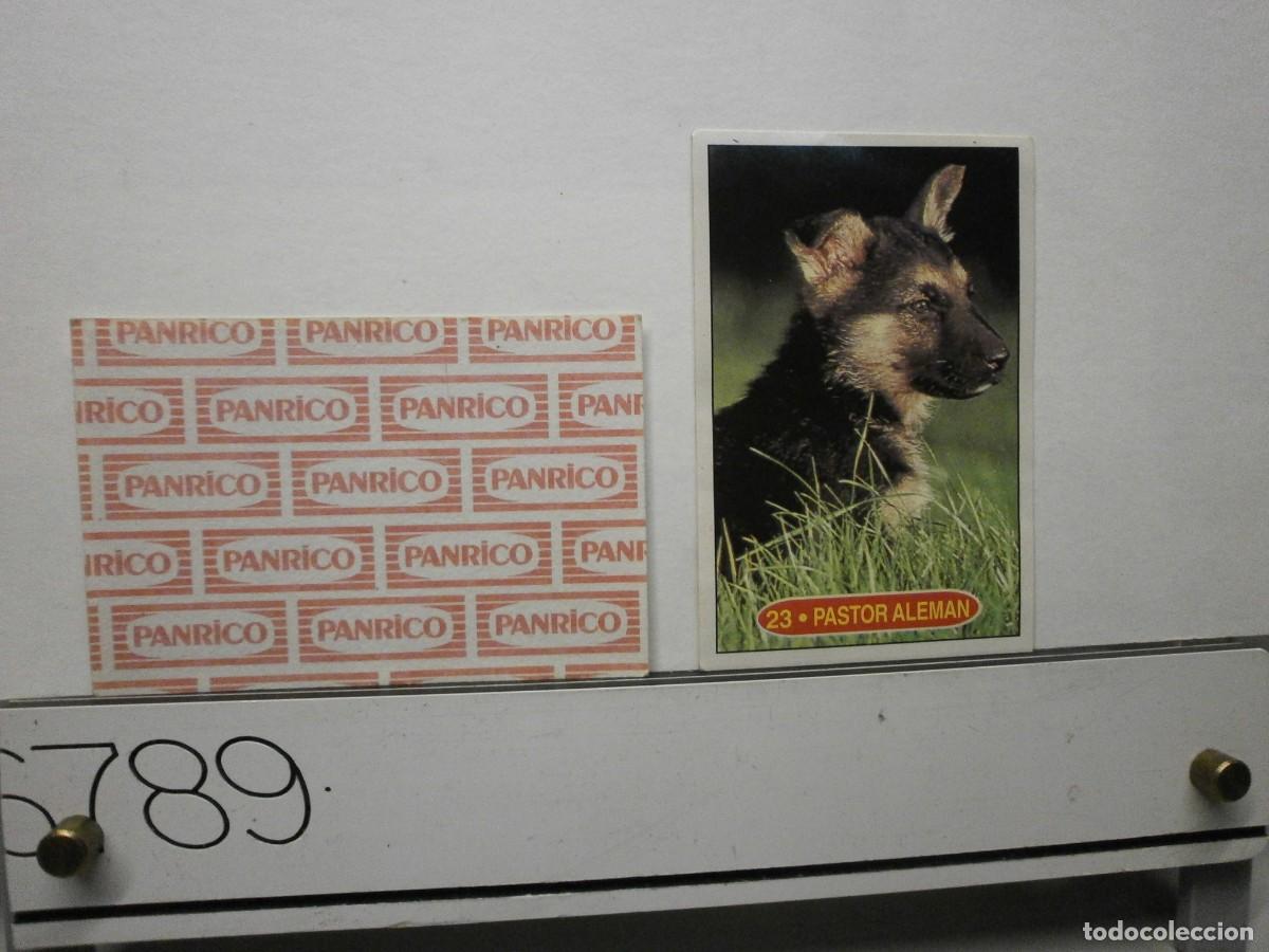 Coleccionismo cromos antiguos: cromo panrico perros cachorros