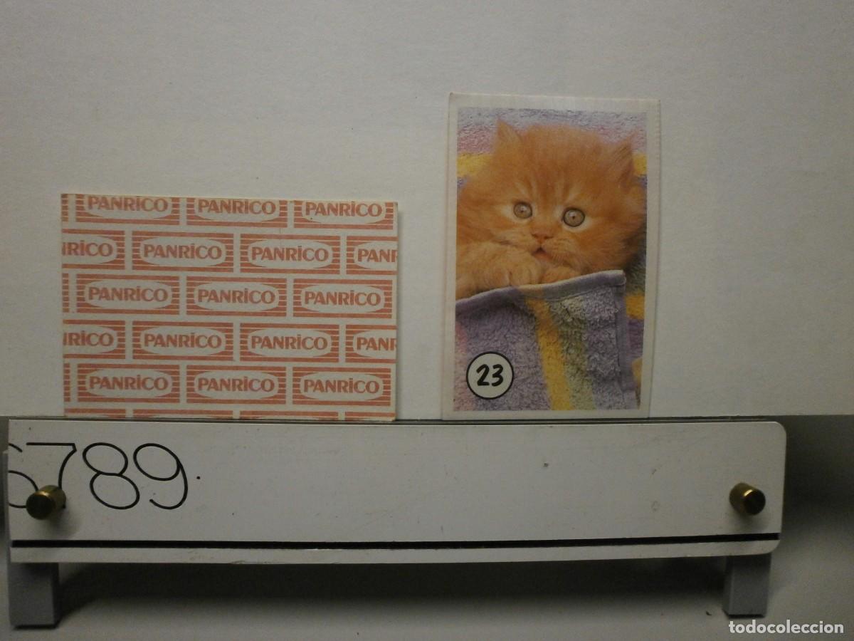 Coleccionismo cromos antiguos: cromo panrico gatos gatitos