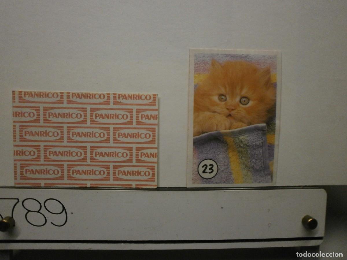 Coleccionismo cromos antiguos: cromo panrico gatos gatitos