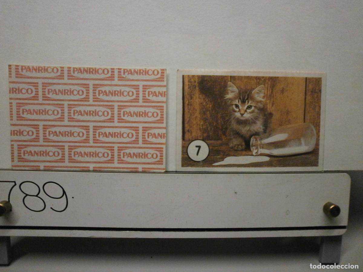 Coleccionismo cromos antiguos: cromo panrico gatos gatitos
