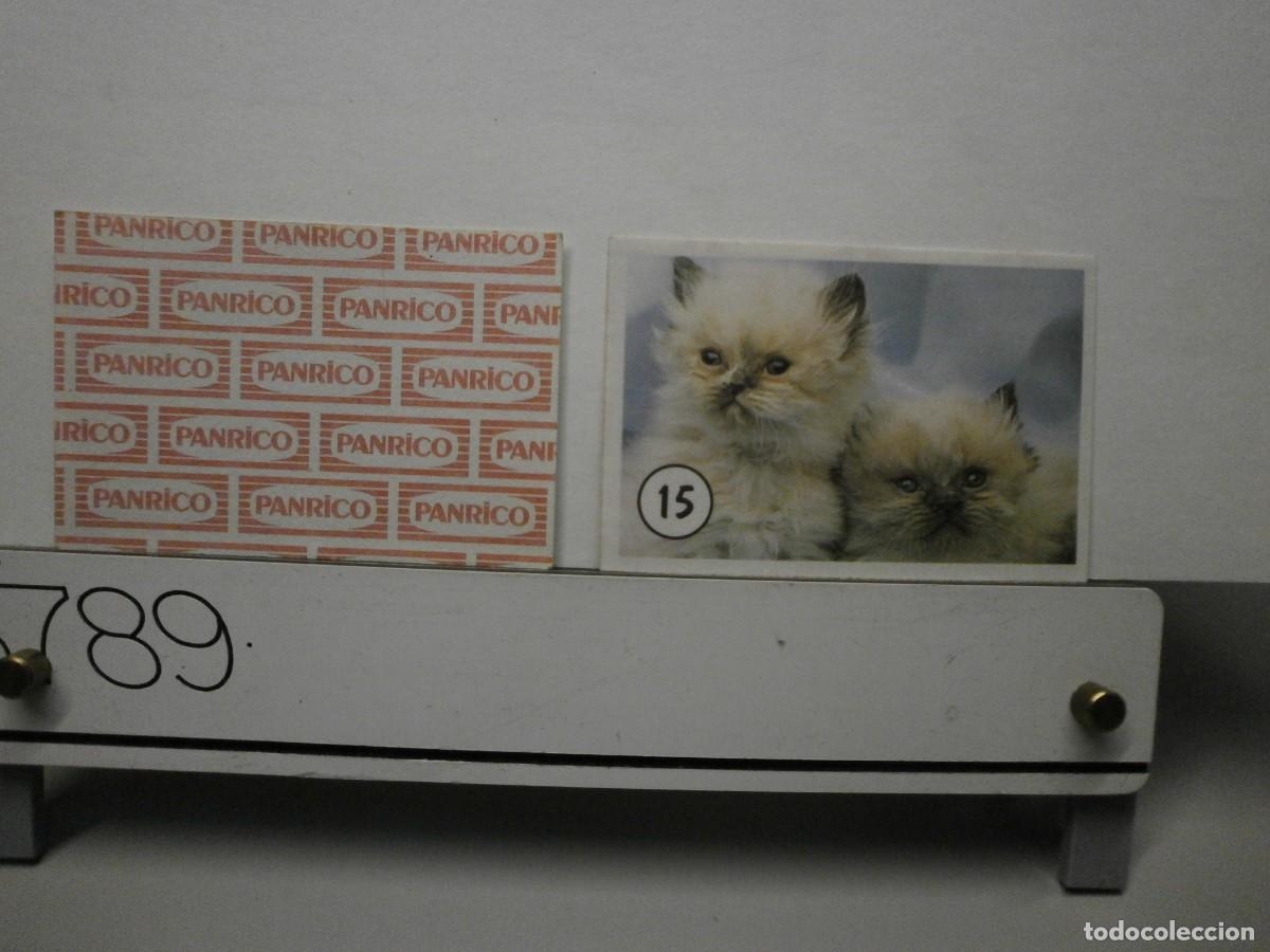 Coleccionismo cromos antiguos: cromo panrico gatos gatitos