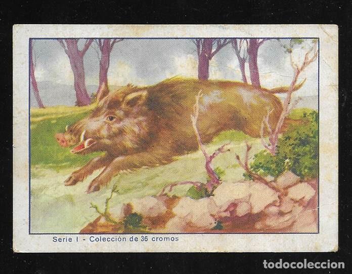 Coleccionismo cromos antiguos: Cromo. Historia Natural .serie I n&ordm;s 9. Col. de 36 cromos. Eduardo P&iacute;