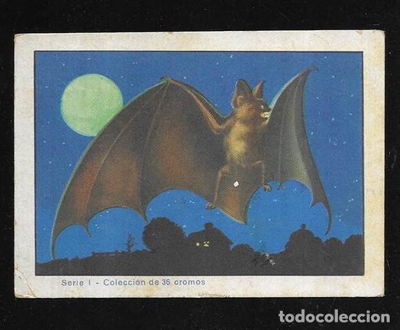 Coleccionismo cromos antiguos: Cromo. Historia Natural .serie I n&ordm;s 28. Col. de 36 cromos. Chocolates Bubi.