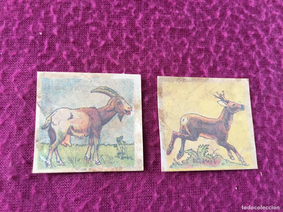 Coleccionismo cromos antiguos: 2 CROMOS CALCOMANIAS ORIGINALES DE ANIMALES CIERVO Y CABRA - A&Ntilde;OS 30