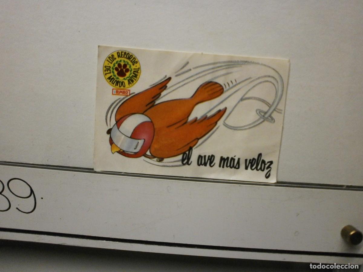 Coleccionismo cromos antiguos: cromo pegatina bimbo los records del mundo animal