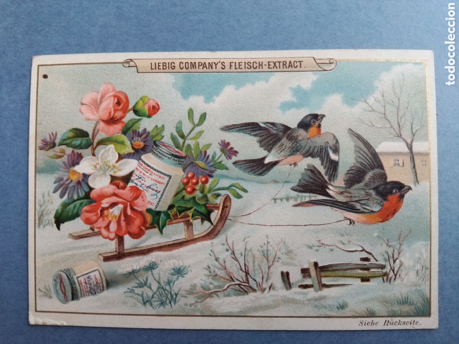 Coleccionismo cromos antiguos: Cromo propaganda Liebig Companys - Foto 1