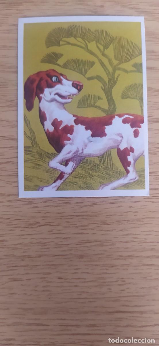 Coleccionismo cromos antiguos: PERRO SUPER &Eacute;XITO N&deg;215 EDITORIAL MAGA - Foto 1