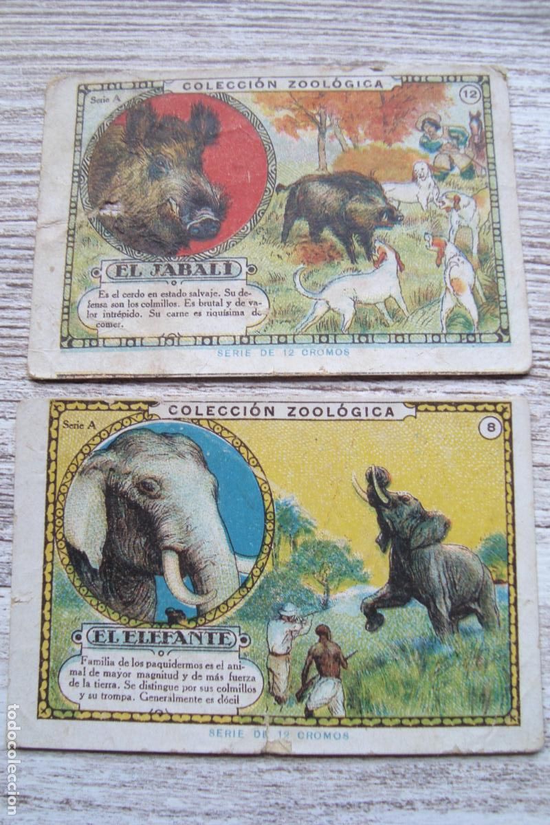 Coleccionismo cromos antiguos: ANTIGUOS CROMOS COLECCION ZOOLOGICA. COMESTIBLES Y CEREALES JOSE SALAS. TARRAGONA
