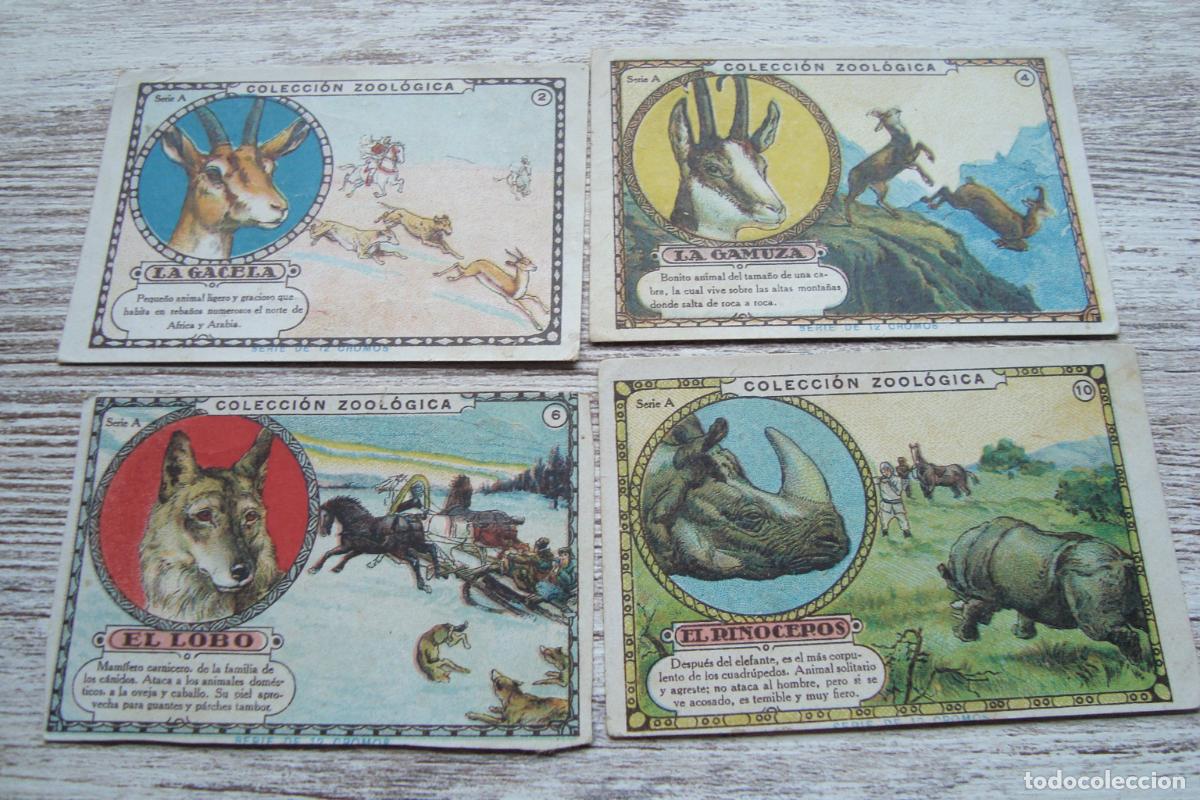 Coleccionismo cromos antiguos: ANTIGUOS CROMOS COLECCION ZOOLOGICA CASA CORDERET ULTRAMARINOS JUAN LOPEZ TARRAGONA.