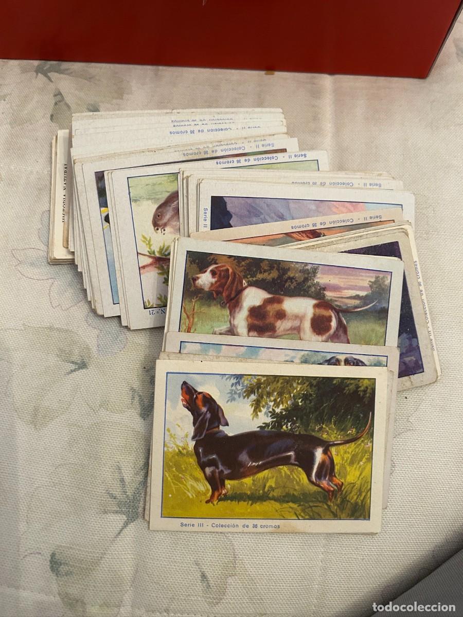 Coleccionismo cromos antiguos: HISTORIA NATURAL COLECCION DE 108 CROMOS HAY 105 FALTAN 3 CROMOS SERIES I-II Y III SE VENDEN SUELTOS