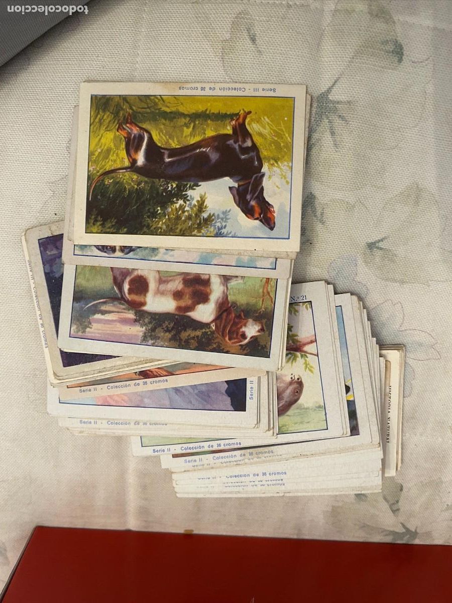 Colecionismo Cromos antigos: HISTORIA NATURAL COLECCION DE 108 CROMOS HAY 105 FALTAN 3 CROMOS SERIES I-II Y III SE VENDEN SUELTOS