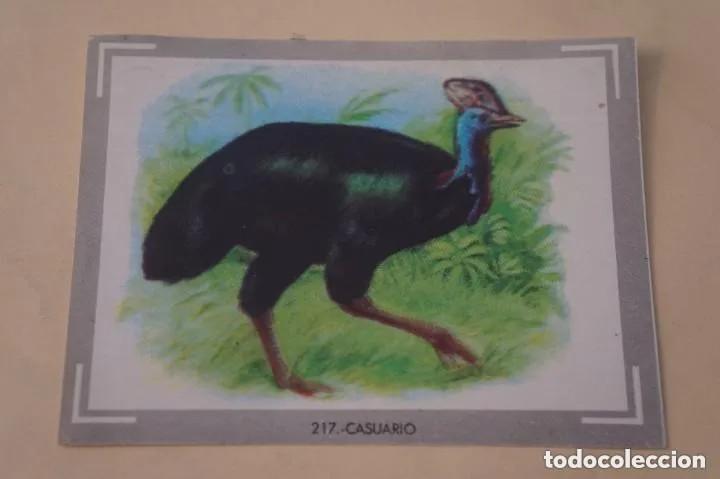 Coleccionismo cromos antiguos: Cromo n.217 vida y color (1) 1965 - sin pegar
