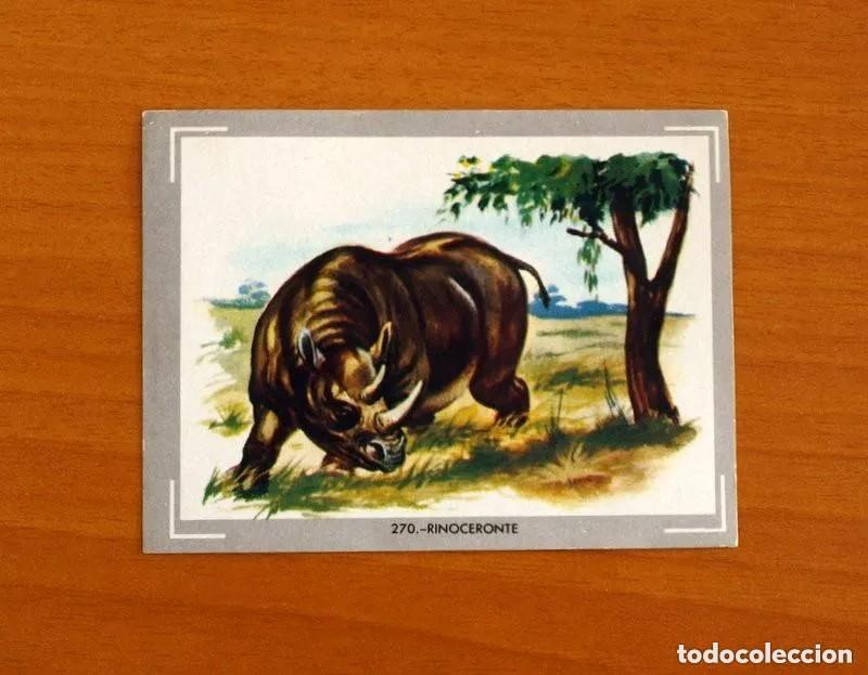 Coleccionismo cromos antiguos: Cromo n.270 vida y color (1) 1965 - sin pegar