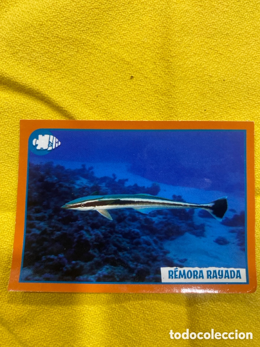 Collectable Antique Stickers: Cromo R&egrave;mora Rayada.