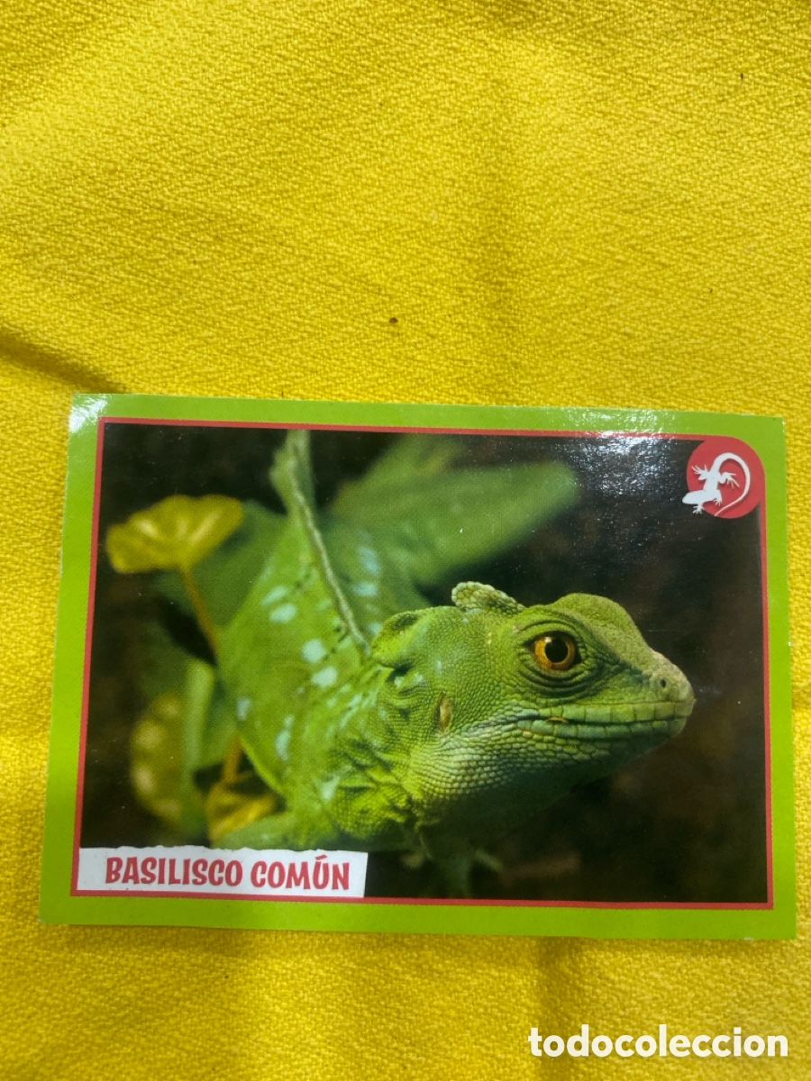 Coleccionismo cromos antiguos: Cromo Basilisco Com&uacute;n