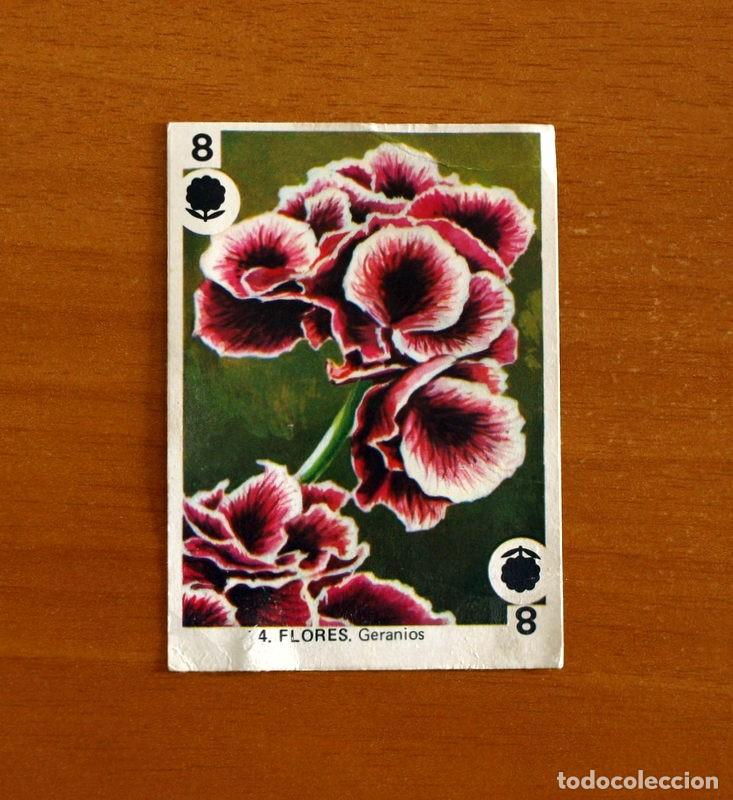 Coleccionismo cromos antiguos: Juegos de Familia - N&ordm; 34 Flores. Geranios - Editorial Maga A&ntilde;o 1978 - Nunca pegado