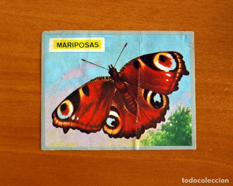 Coleccionismo cromos antiguos: Zoolog&iacute;a y Bot&aacute;nica - Cromo N&ordm; 73 - Editorial Maga A&ntilde;o 1969