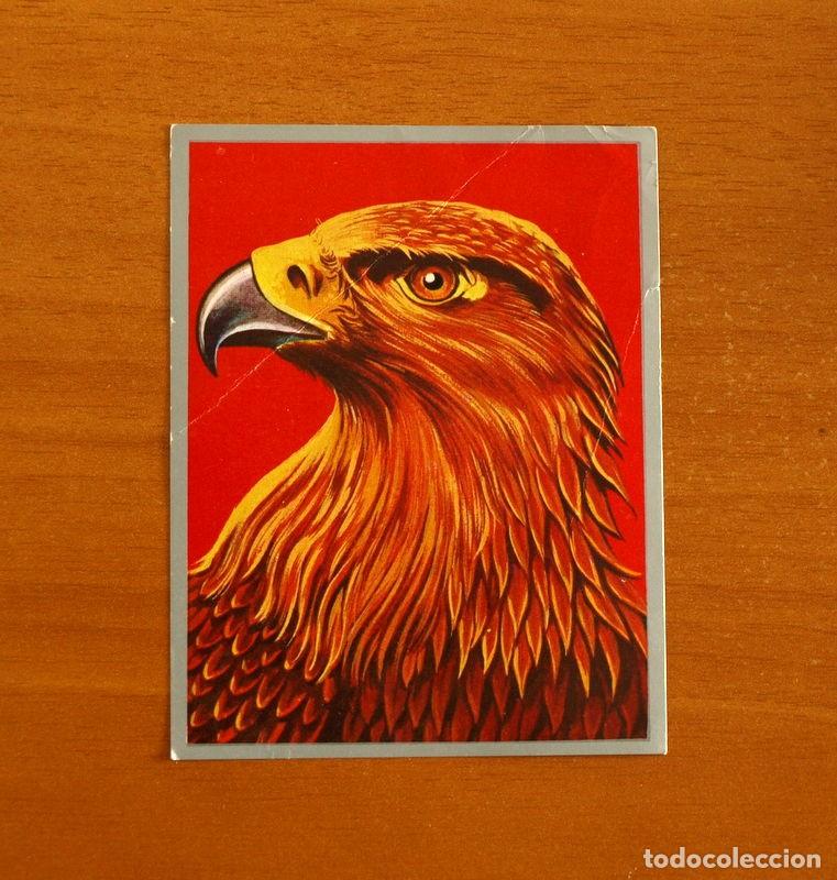 Coleccionismo cromos antiguos: Zoolog&iacute;a y Bot&aacute;nica - Cromo N&ordm; 124 - Editorial Maga A&ntilde;o 1969 - Nunca Pegado