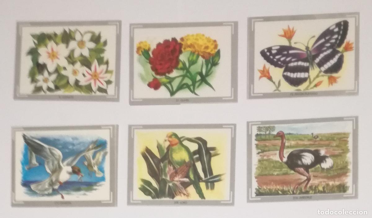 Coleccionismo cromos antiguos: Lote de 6 cromos del album Vida y color 1; Editorial Albumes Espa&ntilde;oles, S.A. - Nuevos