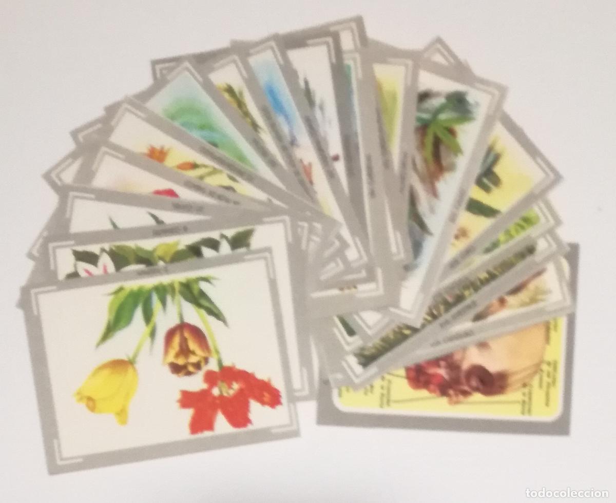 Coleccionismo cromos antiguos: Lote de 21 cromos del album Vida y color 1; Editorial Albumes Espa&ntilde;oles, S.A. - Nuevos y diferentes