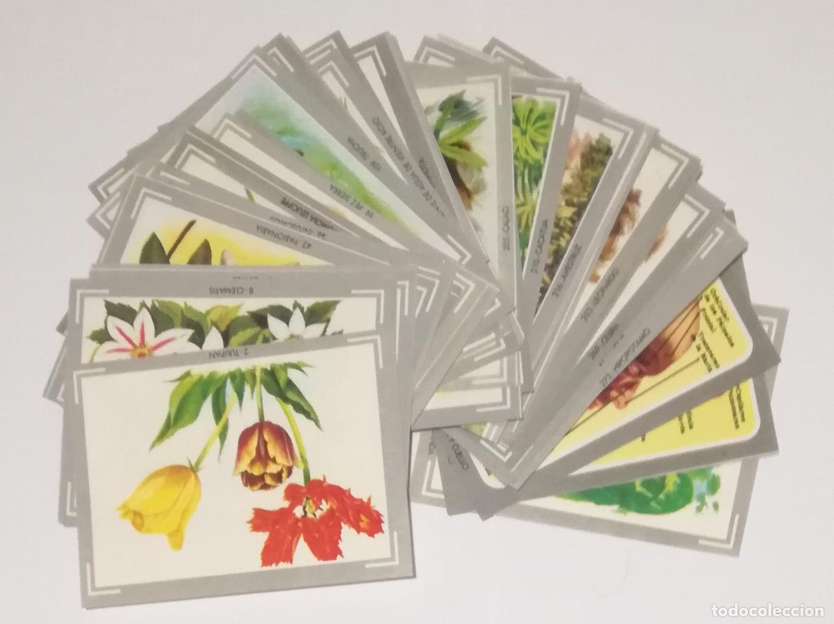 Coleccionismo cromos antiguos: Lote de 47 cromos del album Vida y color 1; Editorial Albumes Espa&ntilde;oles, S.A. - Nuevos y diferentes