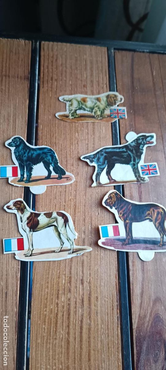 Coleccionismo cromos antiguos: 5 CROMOS STICKERS LOS PERROS , SUS RAZAS Y SU ORIGEN PANRICO