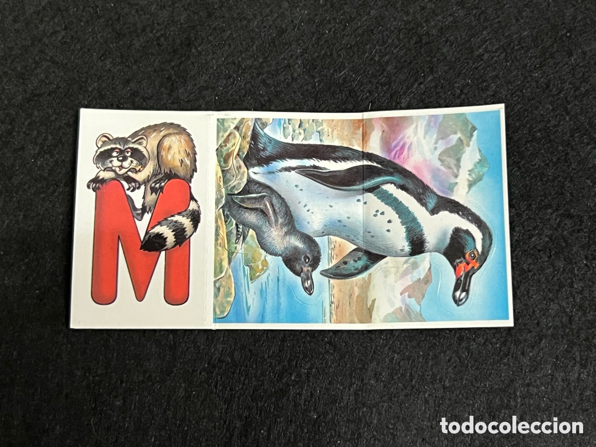 Coleccionismo cromos antiguos: CROMO BOLLYCAO FAUNA EN PELIGRO PINGUINO DE HUMBOLD 54 ANIMALETRAS LETRA M MAPACHE.