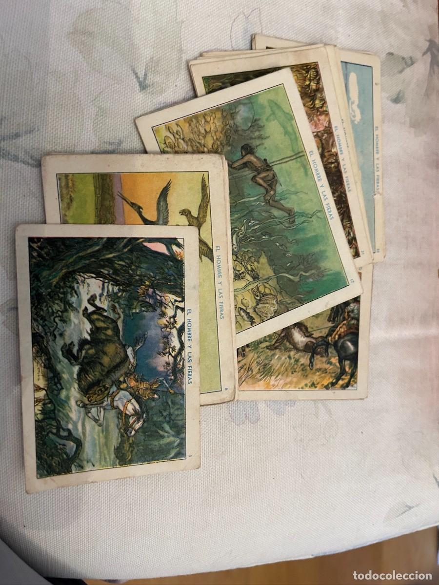 Coleccionismo cromos antiguos: el hombre y las fieras lote de 28 cromos diferentes estados
