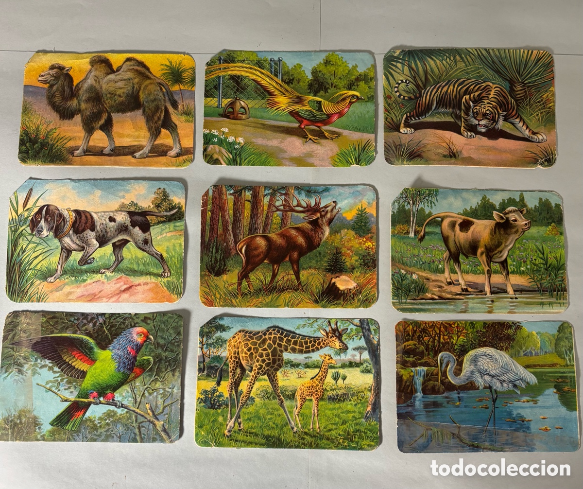 Coleccionismo cromos antiguos: LOTE 9 CROMOS PUBLICITARIOS ANTIGUOS &ndash; CAF&Eacute;S EL GATO NEGRO &ndash; HIJO DE B. ESCOBAR