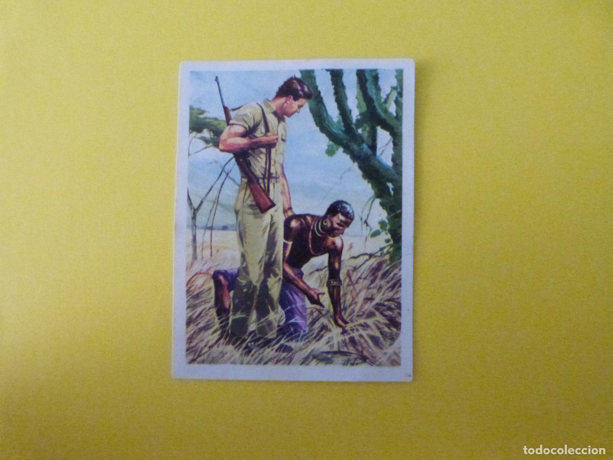 Coleccionismo cromos antiguos: CROMO CAZA MAYOR DESPEGADO N&ordm; 4 A&Ntilde;O 1962 ALBUM CAZA MAYOR CHOCOLATES KITIN NOGUEROLES