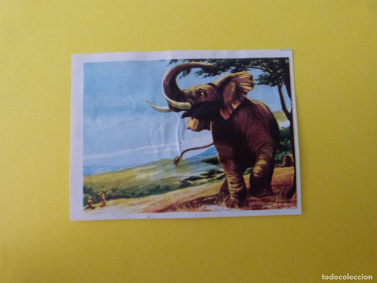 Coleccionismo cromos antiguos: CROMO CAZA MAYOR DESPEGADO N&ordm; 6 A&Ntilde;O 1962 ALBUM CAZA MAYOR CHOCOLATES KITIN NOGUEROLES