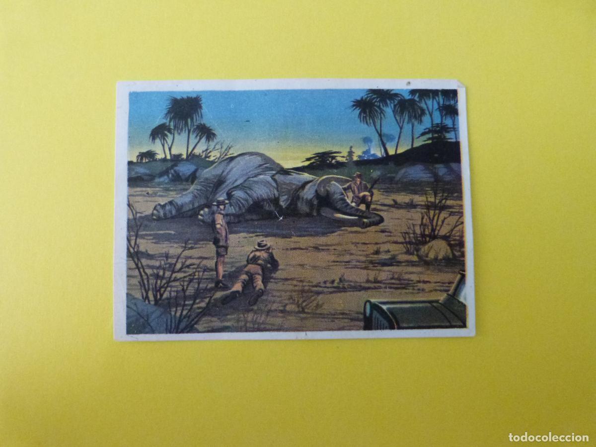 Coleccionismo cromos antiguos: CROMO CAZA MAYOR DESPEGADO N&ordm; 9 A&Ntilde;O 1962 ALBUM CAZA MAYOR CHOCOLATES KITIN NOGUEROLES