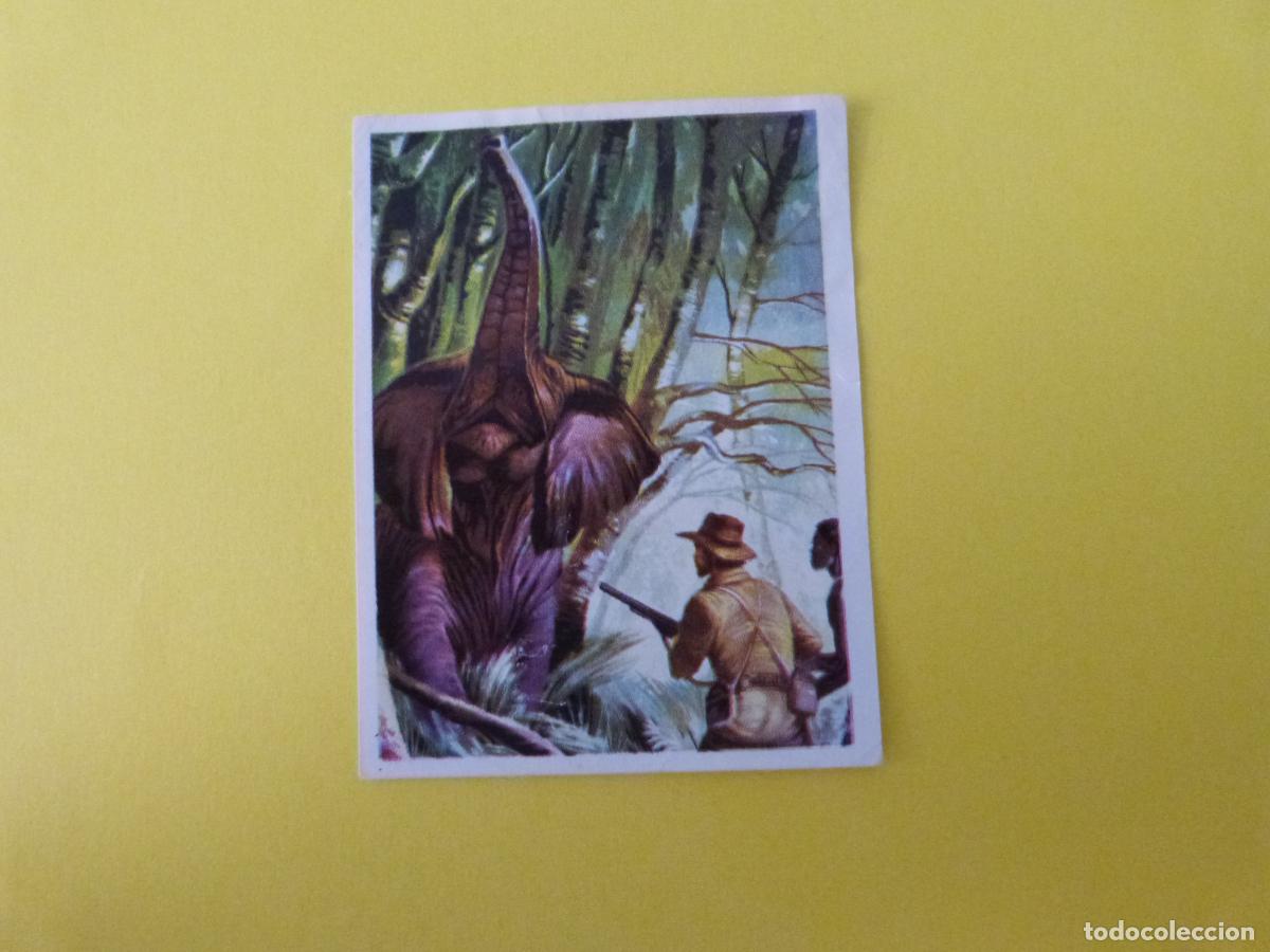 Coleccionismo cromos antiguos: CROMO CAZA MAYOR DESPEGADO N&ordm; 17 A&Ntilde;O 1962 ALBUM CAZA MAYOR CHOCOLATES KITIN NOGUEROLES