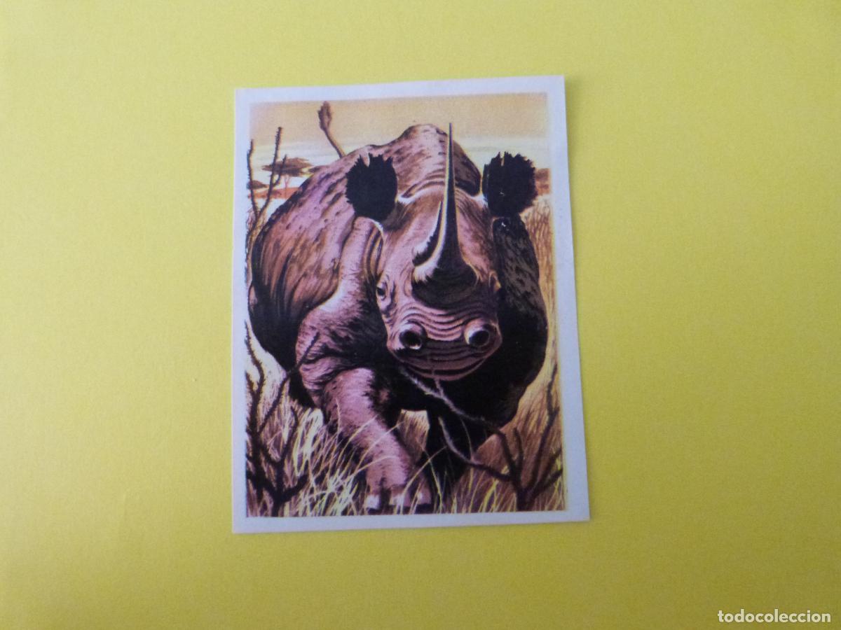Coleccionismo cromos antiguos: CROMO CAZA MAYOR DESPEGADO N&ordm; 32 A&Ntilde;O 1962 ALBUM CAZA MAYOR CHOCOLATES KITIN NOGUEROLES