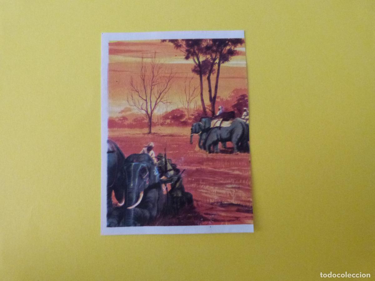 Coleccionismo cromos antiguos: CROMO CAZA MAYOR DESPEGADO N&ordm; 66 A&Ntilde;O 1962 ALBUM CAZA MAYOR CHOCOLATES KITIN NOGUEROLES