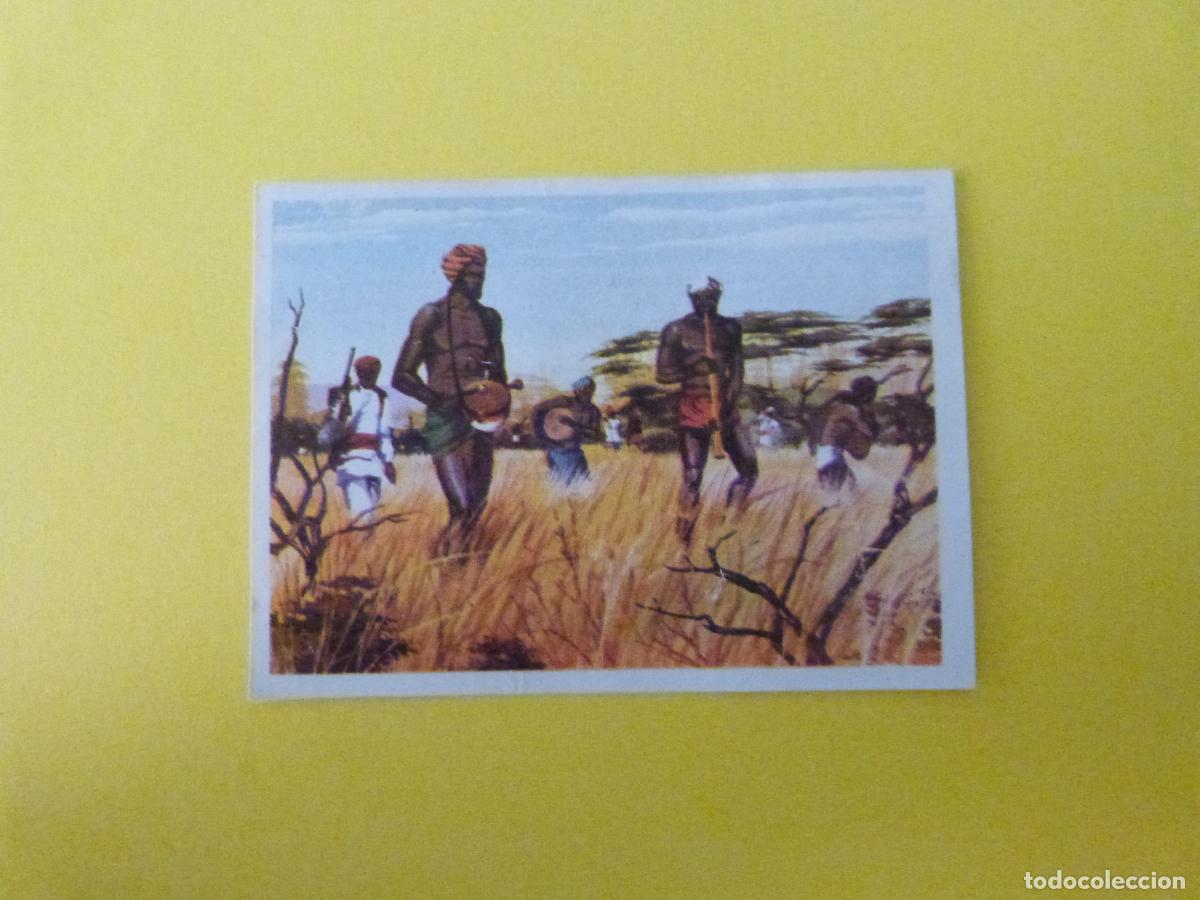 Coleccionismo cromos antiguos: CROMO CAZA MAYOR DESPEGADO N&ordm; 70 A&Ntilde;O 1962 ALBUM CAZA MAYOR CHOCOLATES KITIN NOGUEROLES