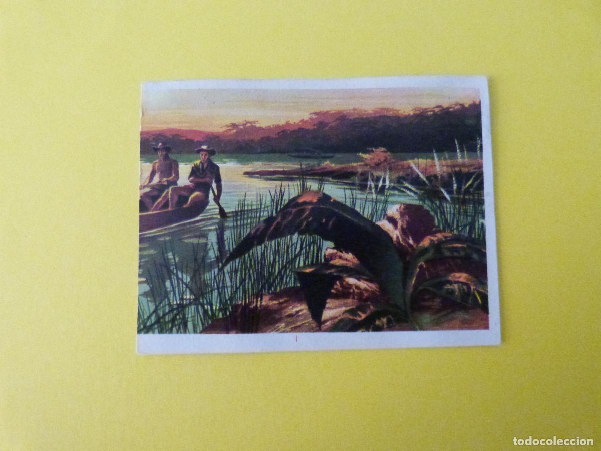 Coleccionismo cromos antiguos: CROMO CAZA MAYOR DESPEGADO N&ordm; 111 A&Ntilde;O 1962 ALBUM CAZA MAYOR CHOCOLATES KITIN NOGUEROLES