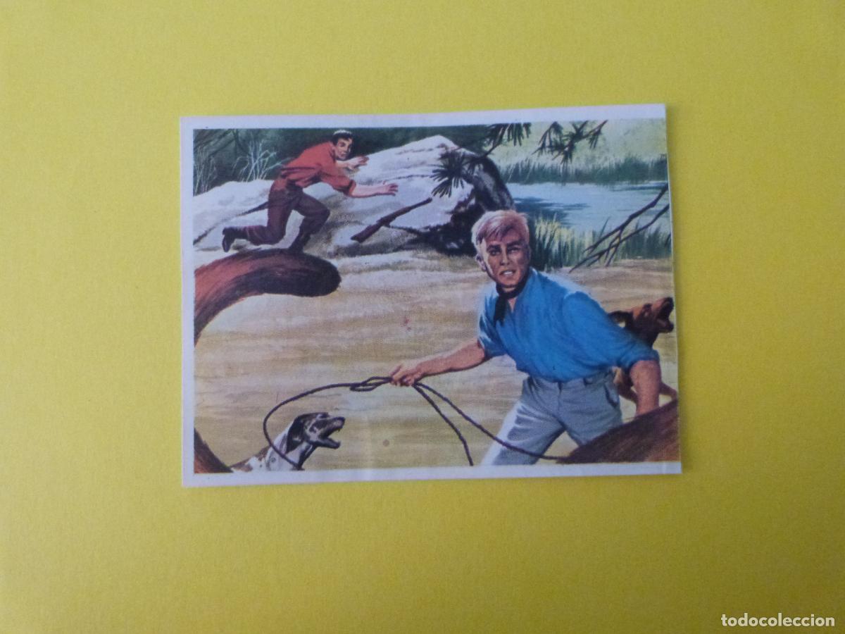 Coleccionismo cromos antiguos: CROMO CAZA MAYOR DESPEGADO N&ordm; 118 A&Ntilde;O 1962 ALBUM CAZA MAYOR CHOCOLATES KITIN NOGUEROLES
