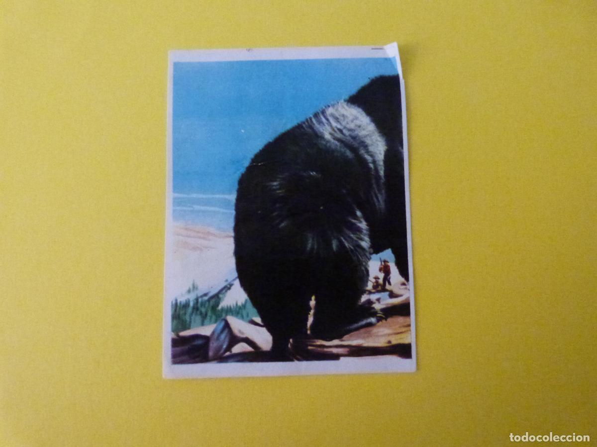 Coleccionismo cromos antiguos: CROMO CAZA MAYOR DESPEGADO N&ordm; 129 A&Ntilde;O 1962 ALBUM CAZA MAYOR CHOCOLATES KITIN NOGUEROLES