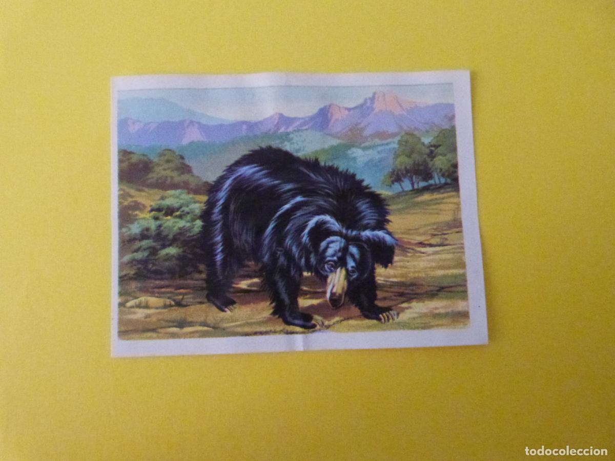 Coleccionismo cromos antiguos: CROMO CAZA MAYOR DESPEGADO N&ordm; 132 A&Ntilde;O 1962 ALBUM CAZA MAYOR CHOCOLATES KITIN NOGUEROLES